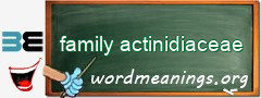 WordMeaning blackboard for family actinidiaceae